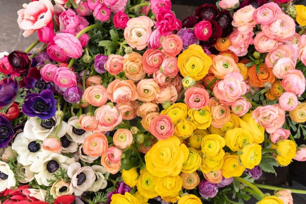 Trendsetting Summer Bouquets in 2024 Bouquets