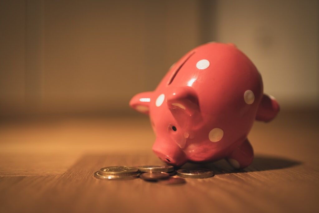 Beginner Guide to Investing