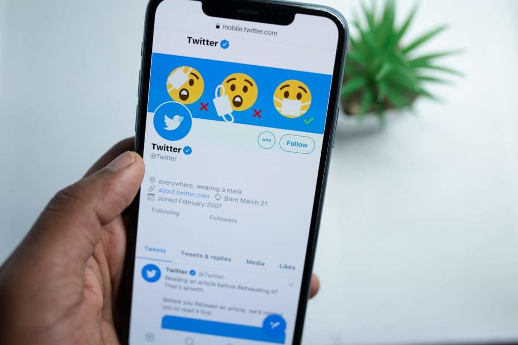 Twitter Video Downloader