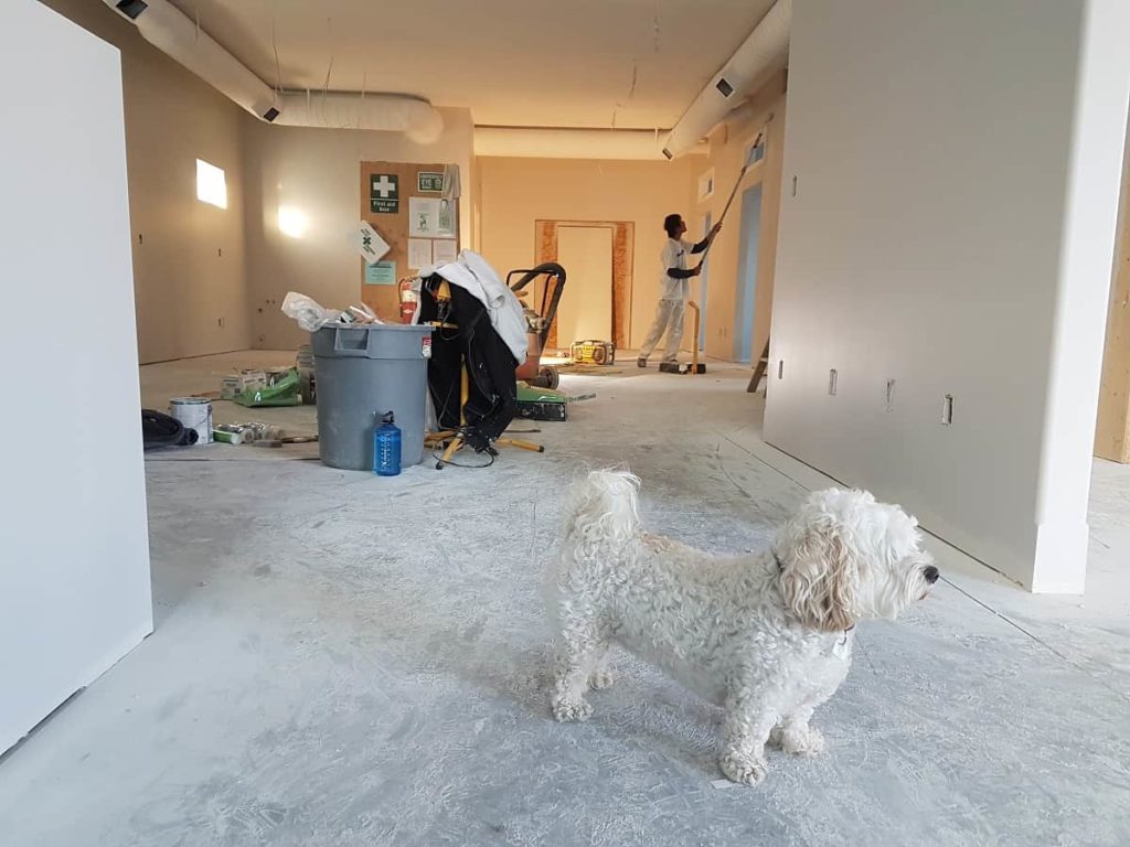 House Remodel
