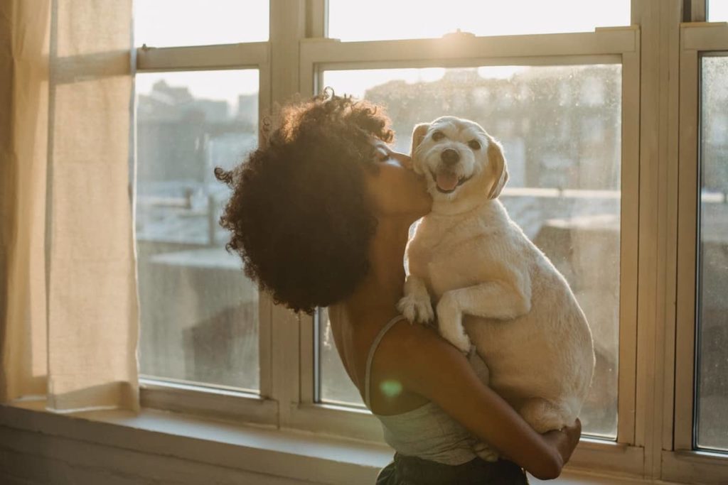 Dog