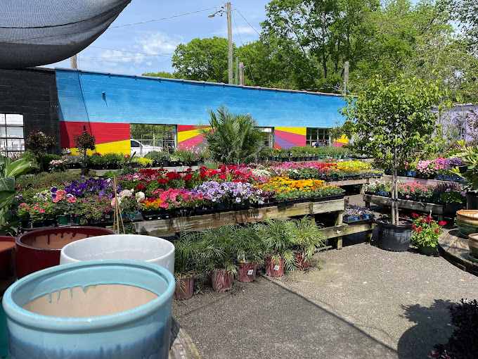 Profitable Business Ideas