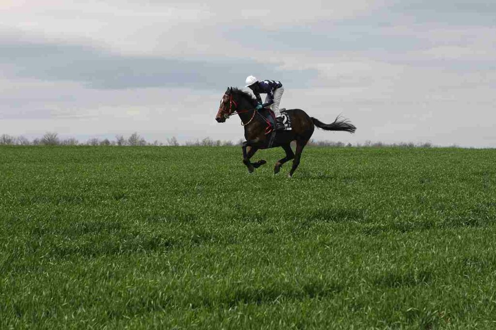 Horse Racing