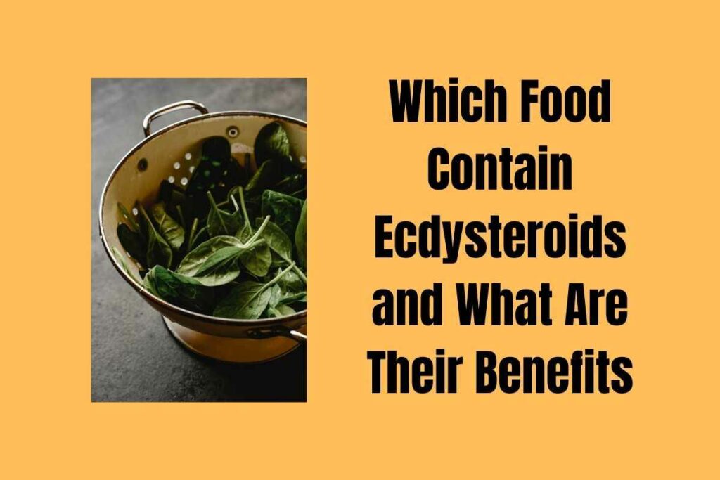 Ecdysteroids
