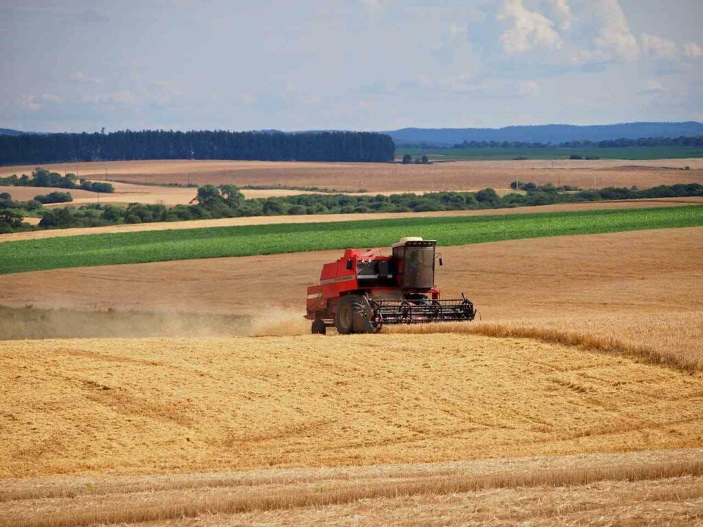 Agricultural Material Company