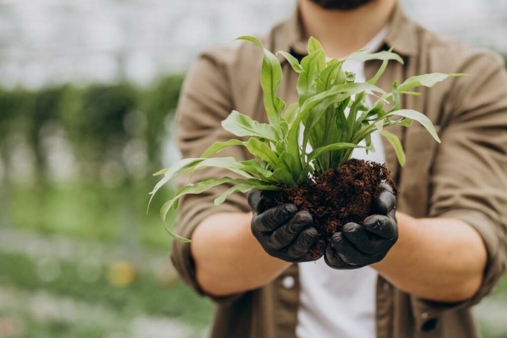 Gardening For Sustainable Living
