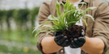 Gardening For Sustainable Living